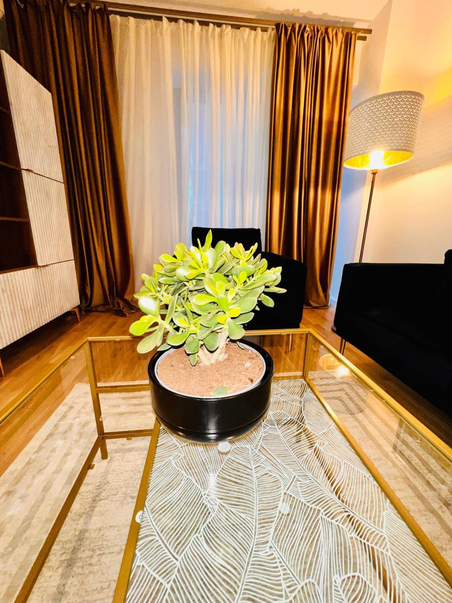 Cosy Stay Bucarest Exterior foto